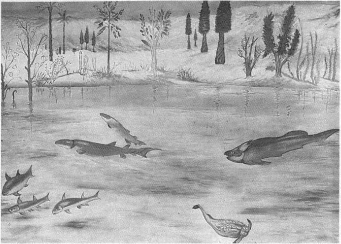 Image 22