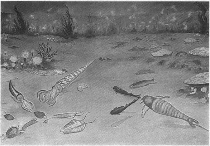 Image 14
