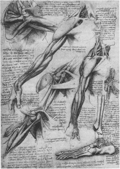Image 21
