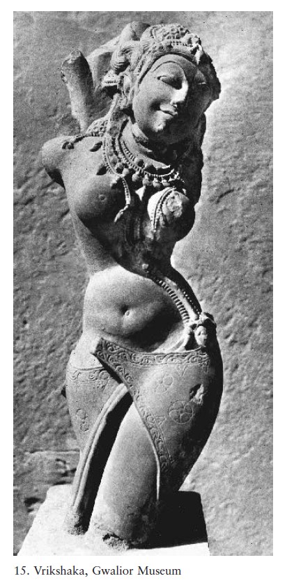 Image 15