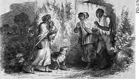 Image 41
