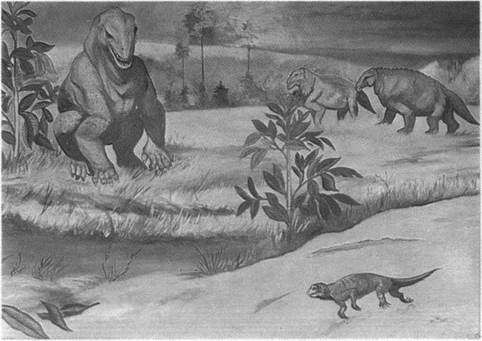 Image 15