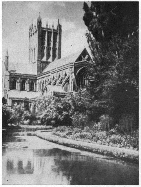 Image 42