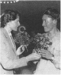Image 141