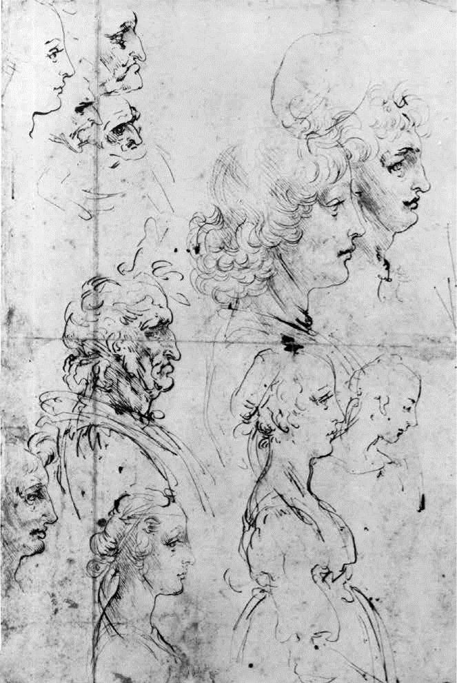 Image 13