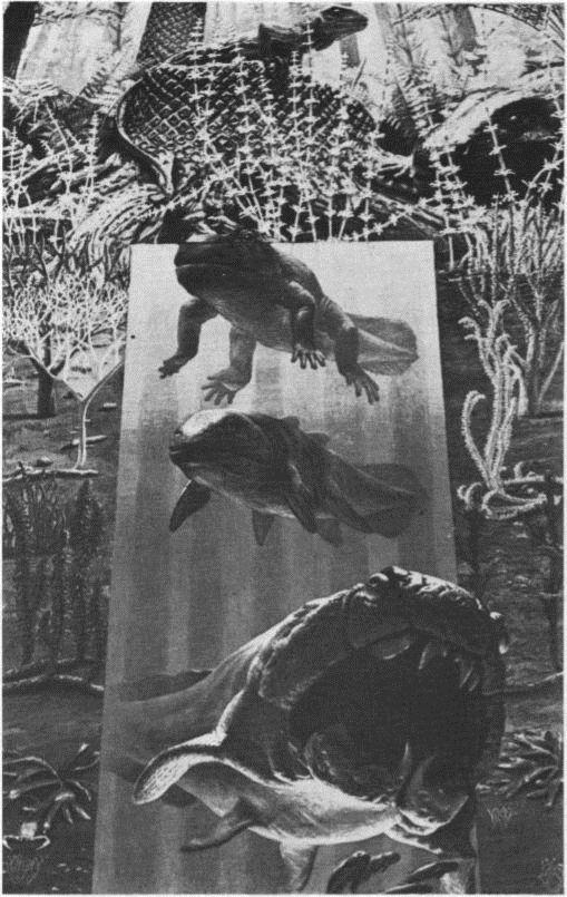 Image 18