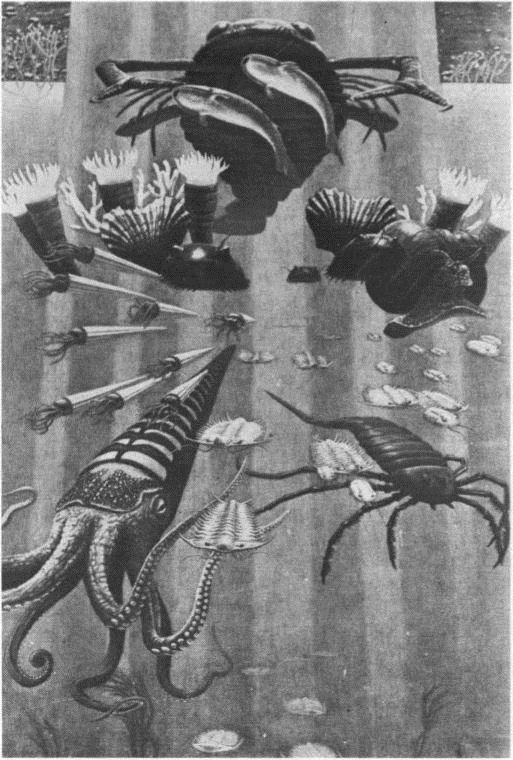 Image 16