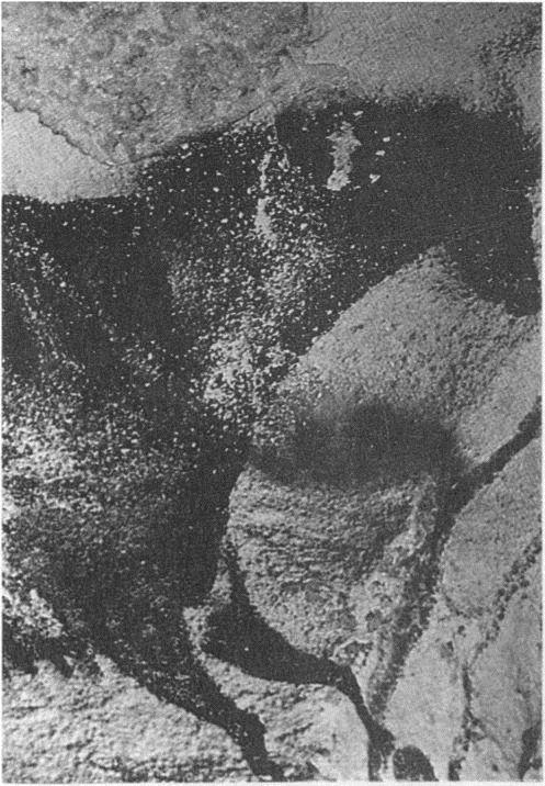 Image 32