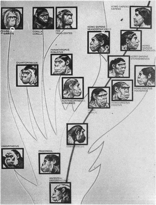 Image 25