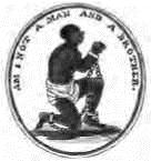 Image 16