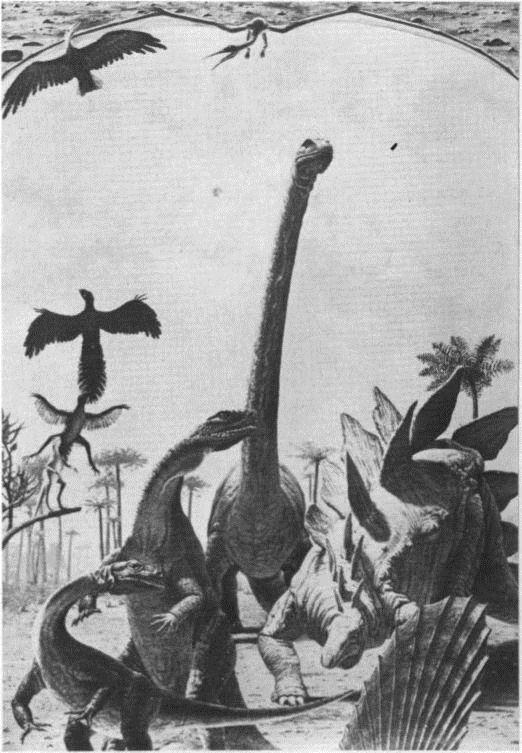 Image 19