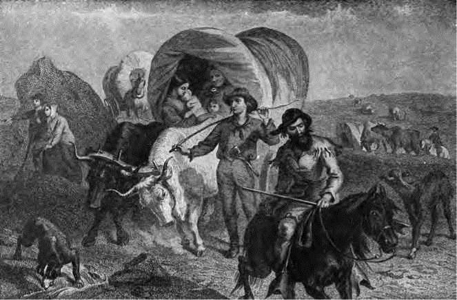 Image 37