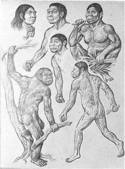 Image 26
