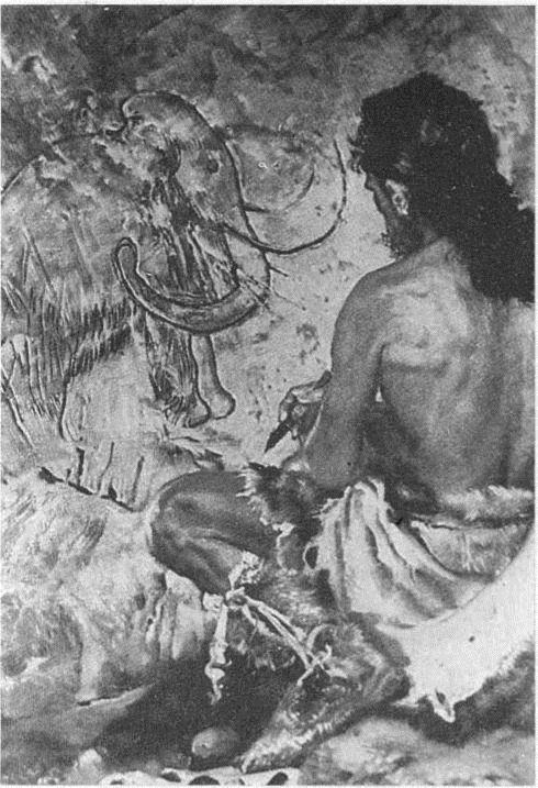 Image 33