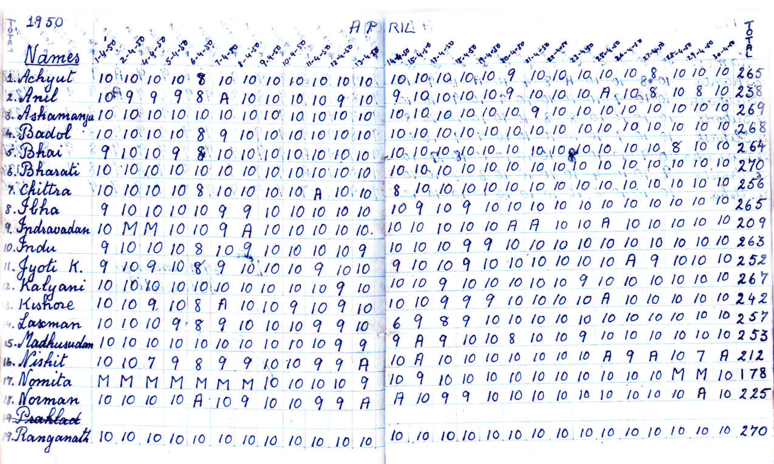 Image 5