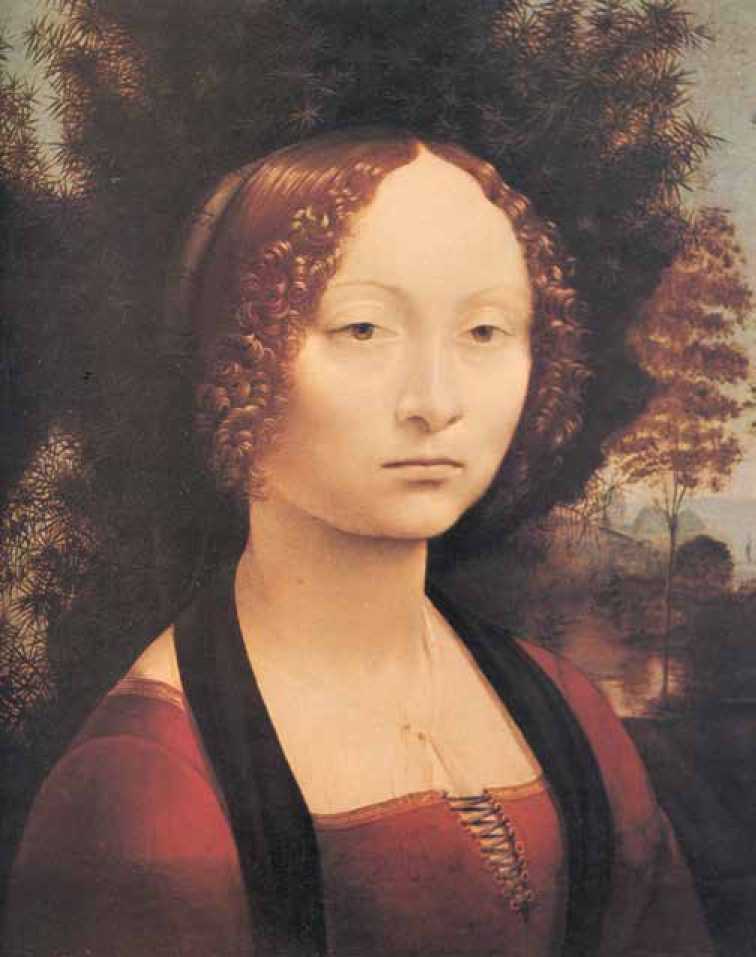 Image 31