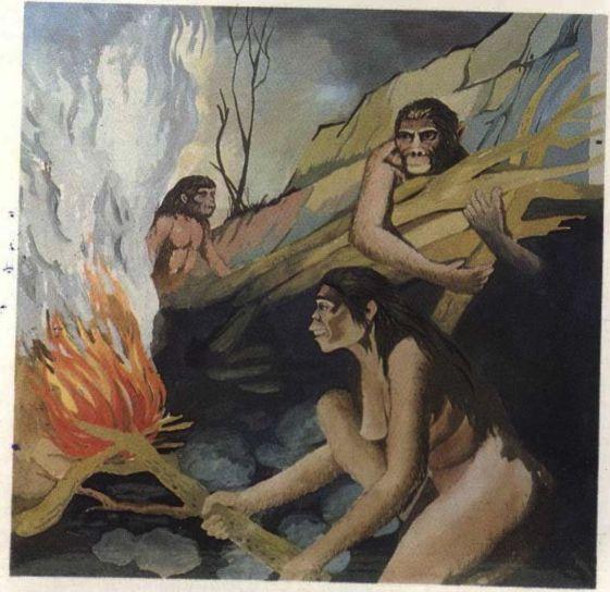 Image 29
