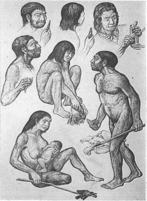 Image 27